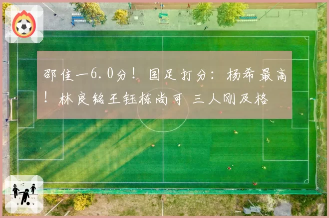 邵佳一6.0分！国足打分：杨希最高！林良铭王钰栋尚可 三人刚及格