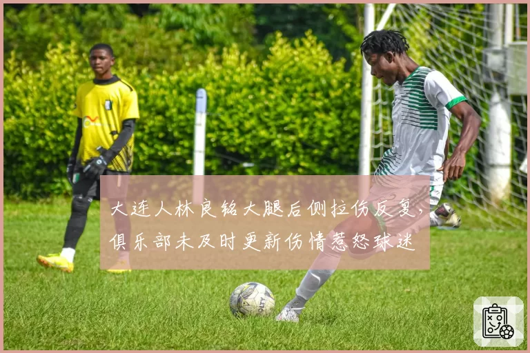 大连人林良铭大腿后侧拉伤反复，俱乐部未及时更新伤情惹怒球迷