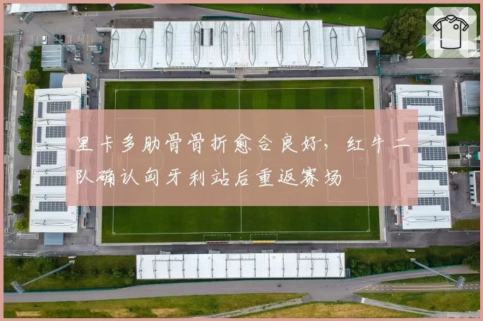里卡多肋骨骨折愈合良好，红牛二队确认匈牙利站后重返赛场
