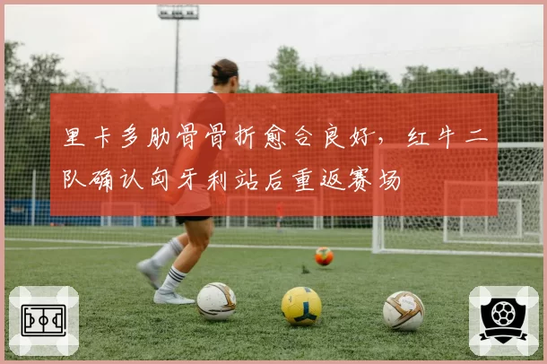 里卡多肋骨骨折愈合良好，红牛二队确认匈牙利站后重返赛场