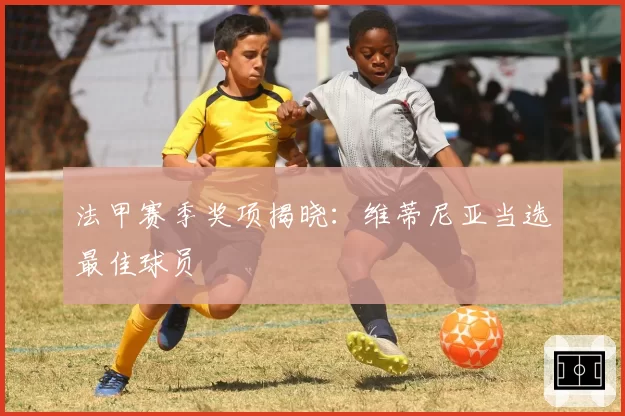 法甲赛季奖项揭晓：维蒂尼亚当选最佳球员