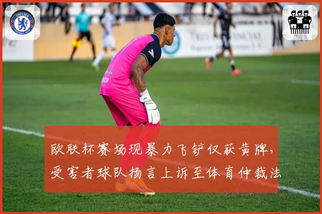欧联杯赛场现暴力飞铲仅获黄牌,受害者球队扬言上诉至体育仲裁法庭