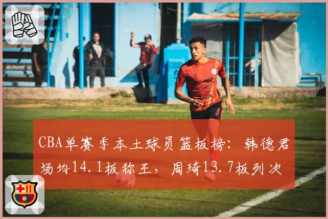 CBA单赛季本土球员篮板榜:韩德君场均14.1板称王,周琦13.7板列次席